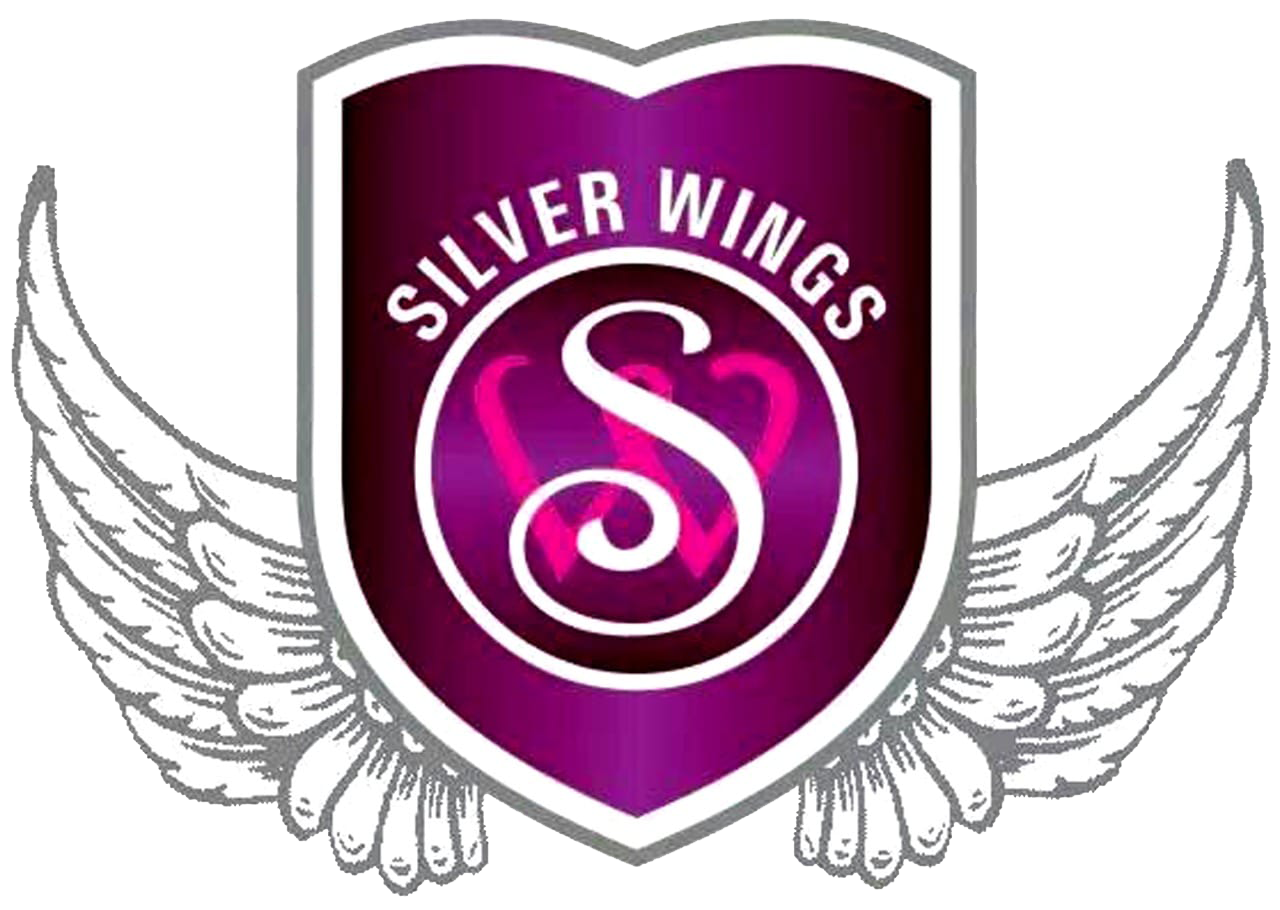 Silver Wings Travel Logo